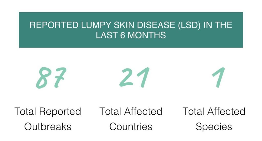 Lumpy Skin Disease Grid X Matrix   2022F534 1A65 4C6A 9540 0657B4DCAE56 1024x551 