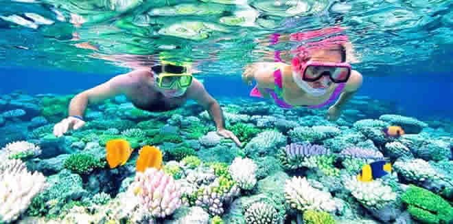 top 10 things to do in Maldives