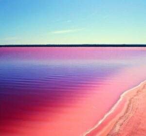 Mystery of Australia's Naturally Pink Lake