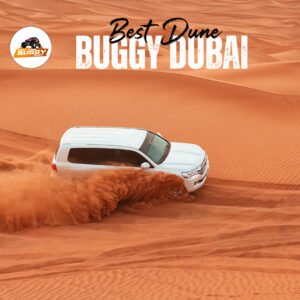 Buggy Desert Safari Dubai