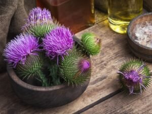 Milk Thistle for the Liver and Gut