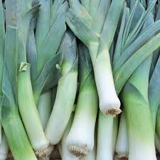 Leek